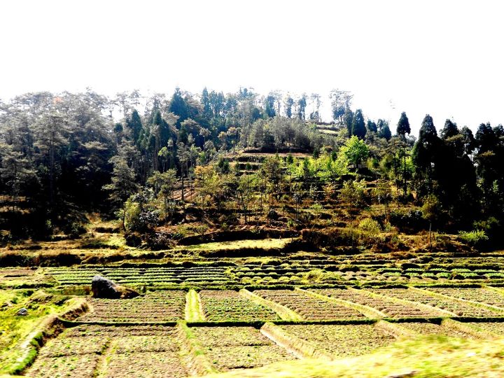 Study Finds Meghalaya’s Wettest Belt Facing Erratic Monsoon Rainfall, Not Just Drying