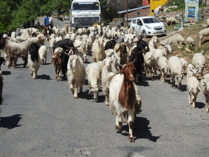 Two dead in road crash near Bharmour, Himachal Pradesh