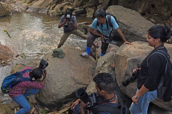 Garbhanga's Rich Butterfly Fauna Highlights Assam-Meghalaya Forest Corridor