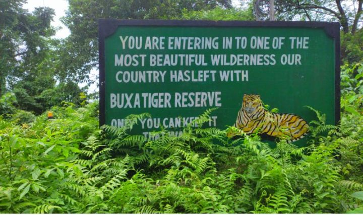 West Bengal starts first tiger relocation from Bihar to Buxa, tourism paused 4 days