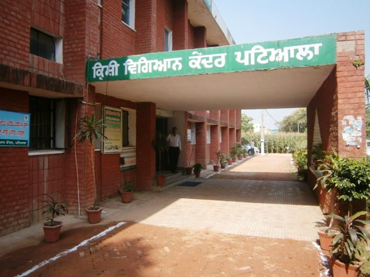 Punjab launches VDS scheme to regularise unauthorized loads on tube wells in Patiala