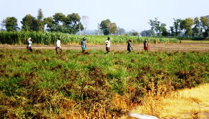 Three Farmers from Fatehgarh Sahib Win Awards at Ludhiana Farmer's Fair