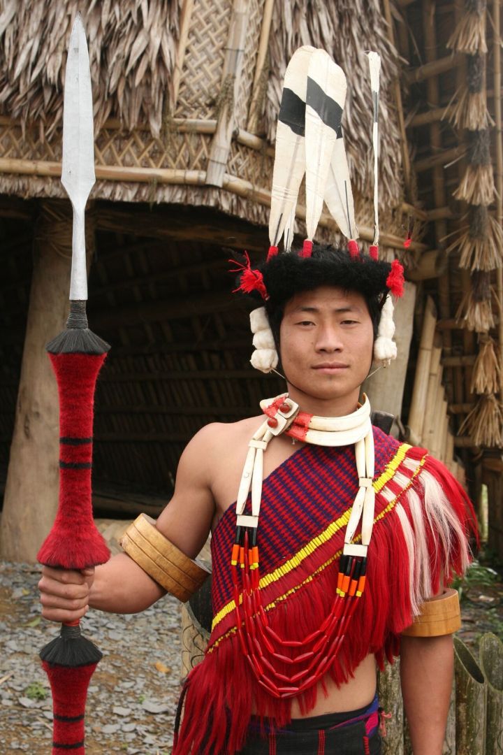 Science Journalism Under Threat: Nagaland Post Draws Parallels with 1980s Decline