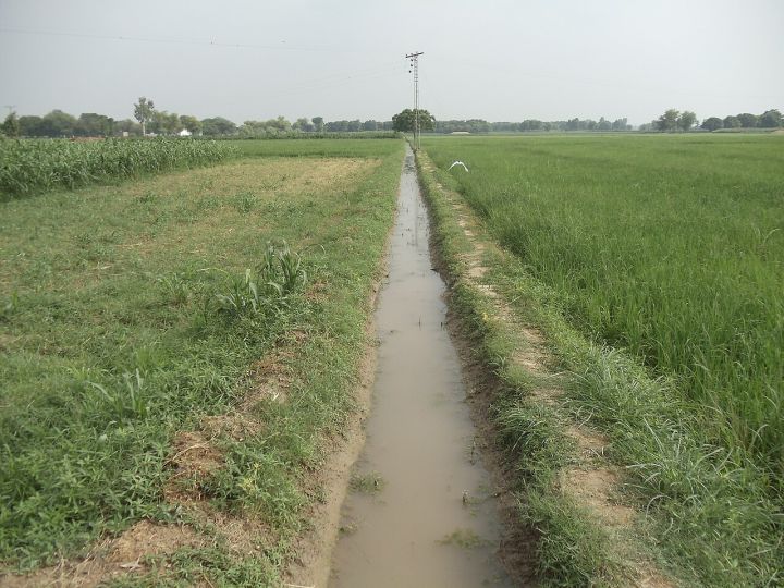 Punjab groundwater crisis eases as canal water usage rises, AAP reports