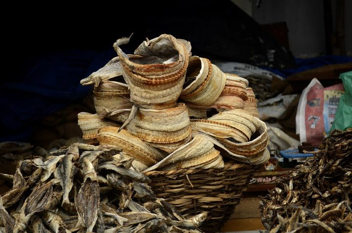 Poompuhar Dive Uncovers Tamil‑West Asian Connections