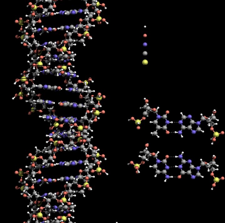 DNA Study Shows Rajasthan Closely Linked to Madhya Pradesh and Gujarat