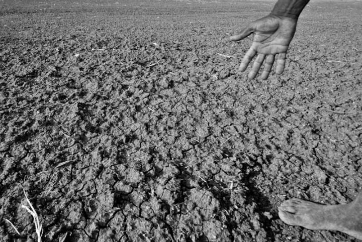Karnataka Adds 23 Taluks to Drought List, Total Reaches 124