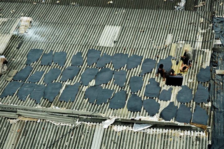 India's Rooftop Solar Rollout Reaches 19,000 Housing Pockets, Aiding 9 Lakh Households