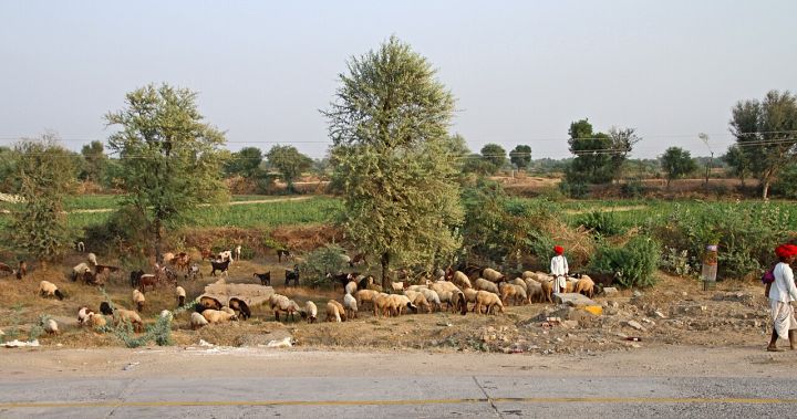 Two Bikaner Youth Killed as Coal Trailer Collides with Bike on NH-62 Near Kalanda, Nagaur