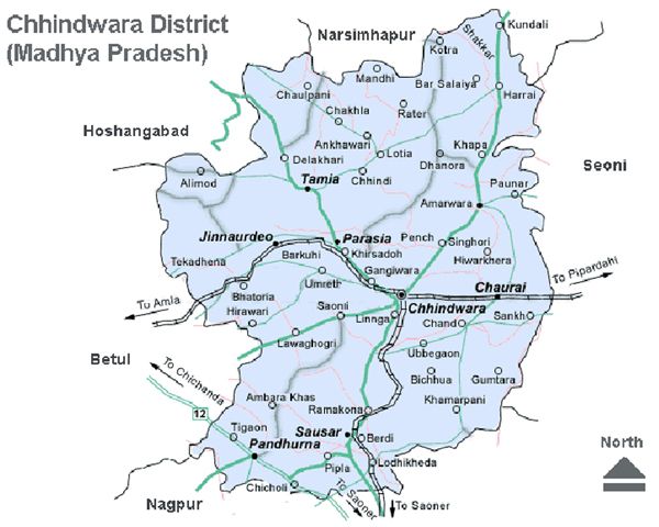Lawyer Attacked in Chhindwara Court After Refusing to Pay for Alcohol