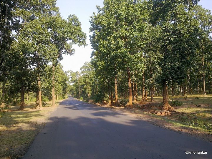Tractor Driver Killed in Road Accident Near UP Dhaba, Shahdol