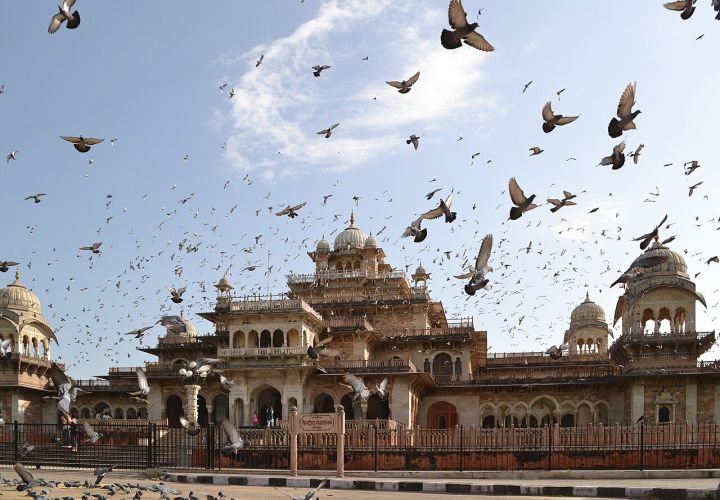 Jaipur Government Employees Protest Over Unpaid GPF, Gratuity and Diwali Bonus