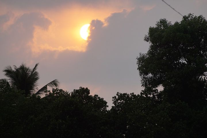 Kerala Meteorology Issues Yellow Alert for Five Districts Amid Storms