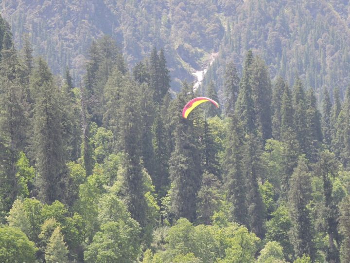 NGT orders Himachal Pradesh to set carrying capacity for Koksar, Manali, Solang valleys