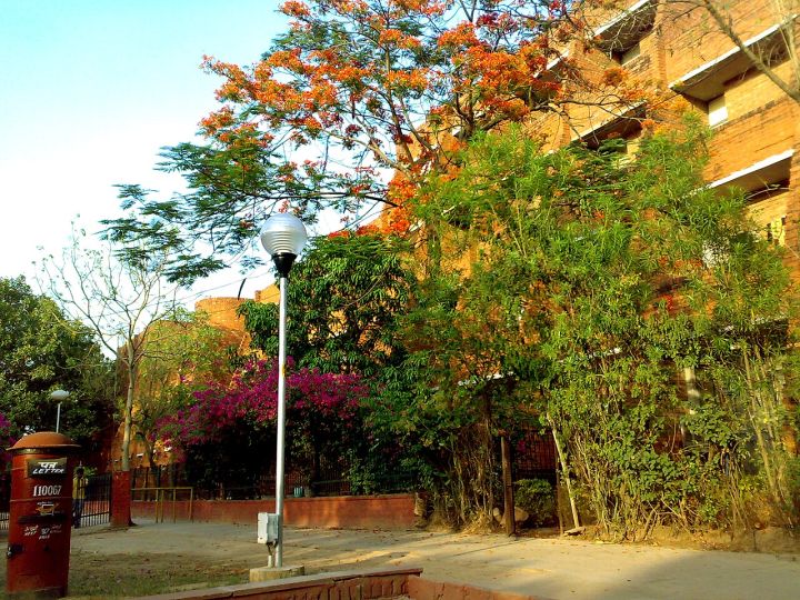 JNU Students Continue Protests, Demand Restoration of Student Union Elections