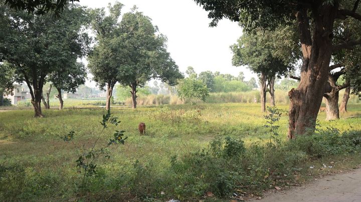 Police Raid on Illicit Liquor Traders in Bihar Village Ends in Tragic River Drowning