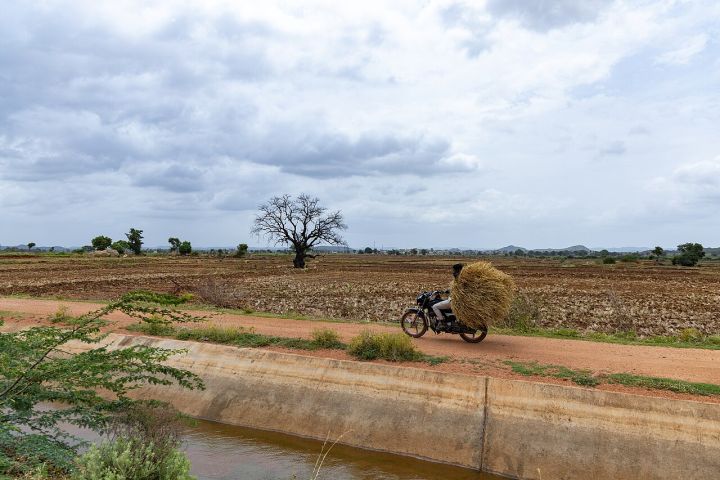 Nanded launches 'Fodder Friends' scheme to combat livestock feed shortage amid Maharashtra drought