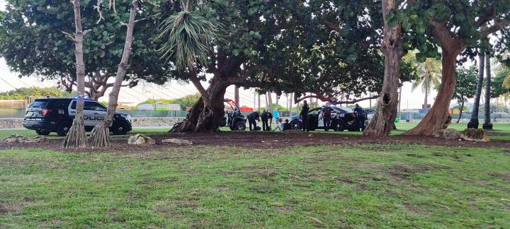 Indian-origin Florida store owner charged with murder in hit-and-run case
