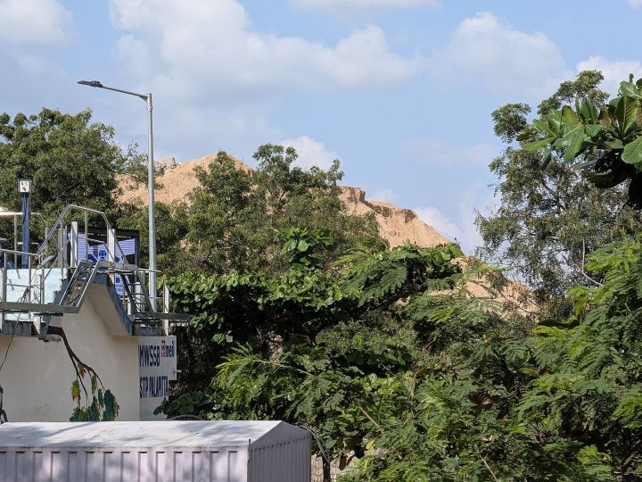 Shrinking Wetlands Threaten Telangana's Palapitta Population