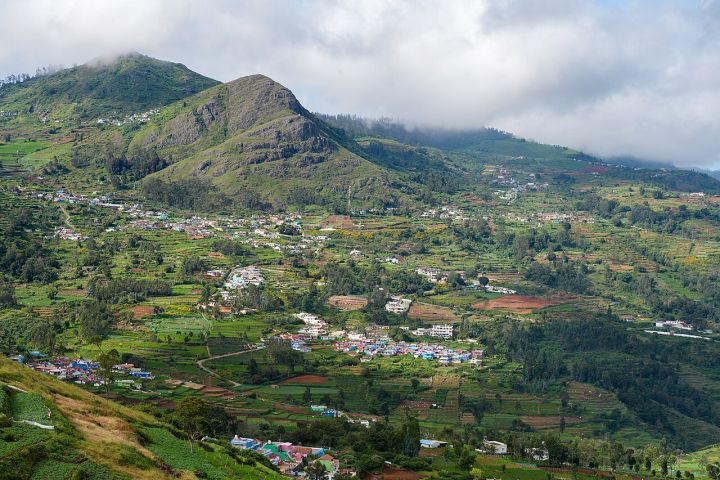 OTT Shows Dupahiya, Panchayat, Jamtara Highlight Rural India Stories