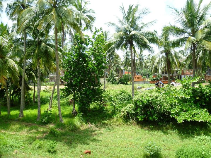 Heavy Rains Isolate Villages in Odisha Post‑Cyclone Arnab, 22 Trains Cancelled