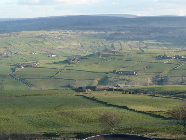 Two Killed in Shooting on Panoramic Hill, Police Say No Active Threat