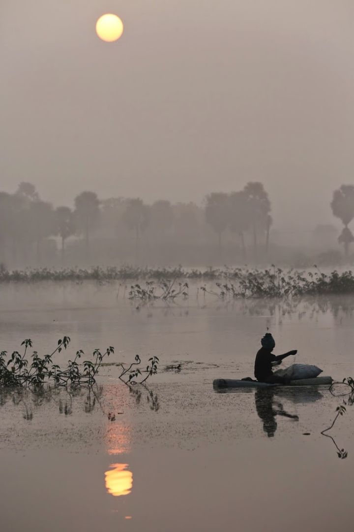 Telangana Fishermen Anxiously Await Fish Seed Release