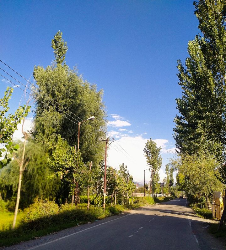 J&K Government Investigates Anantnag R&B Division Tender Allotments