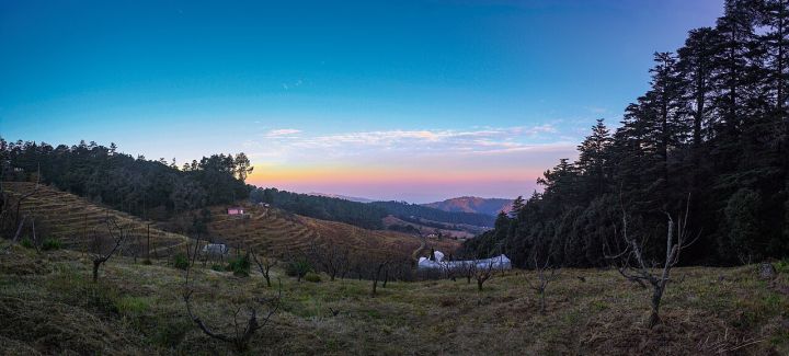 Uttarakhand Shifts from Apple Orchards to GI-Tagged Grain Belt