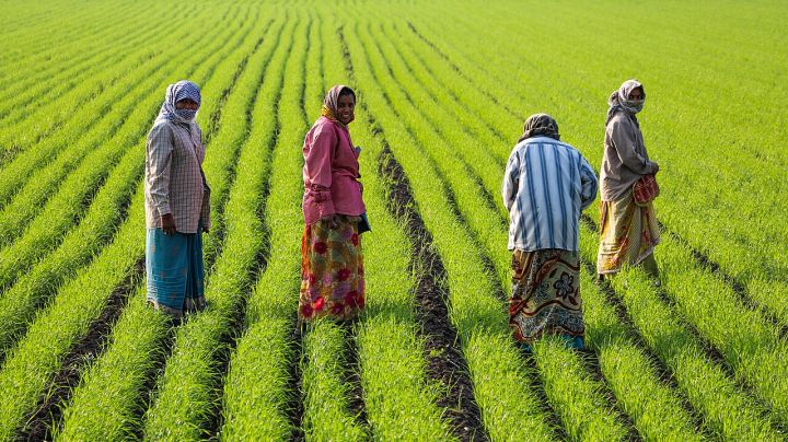 Gujarat Government Offers ₹174 Crore Interest Subsidy to 10 Lakh Farmers