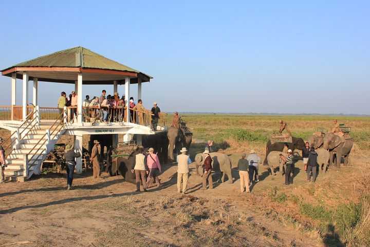 Kaziranga National Park to Resume Elephant Safaris from November 1