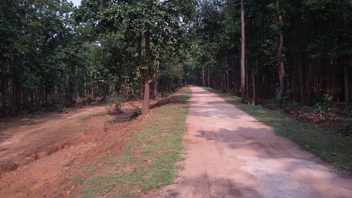 Bus Drivers' Protest in Ghasipura Halts Services Across Keonjhar, Odisha