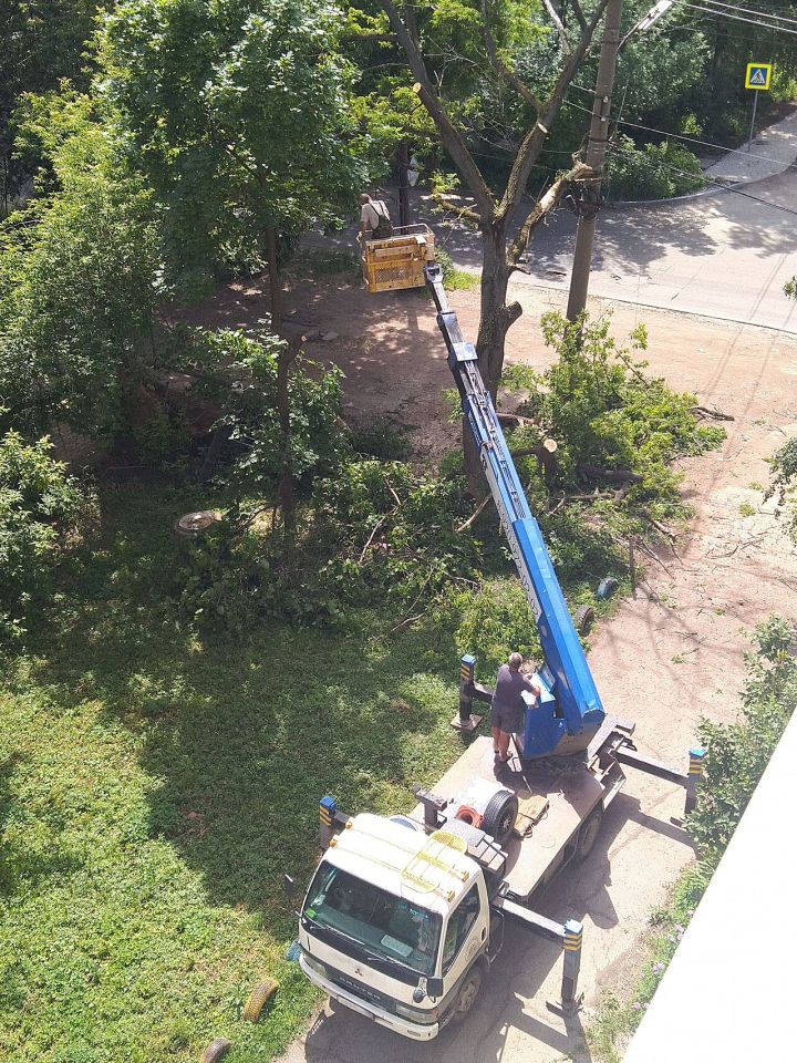 Mumbai Air Quality: Karjat Tree Felling Raises Concerns