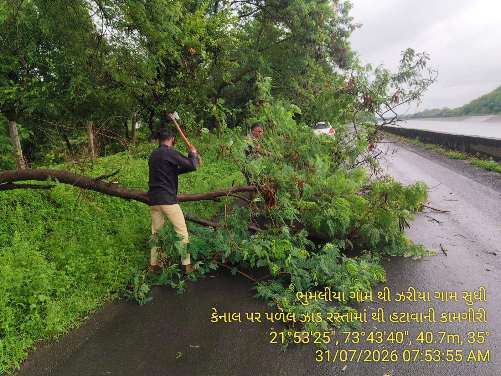 ગરુડેશ્વરમાં ભારે વરસાદ-પવનની અસર: ભુમલીયા ચોકડીથી ઝરીયા કેનાલ માર્ગ પર પડેલું વૃક્ષ હટાવી રસ્તો ખુલ્લો કરાયો