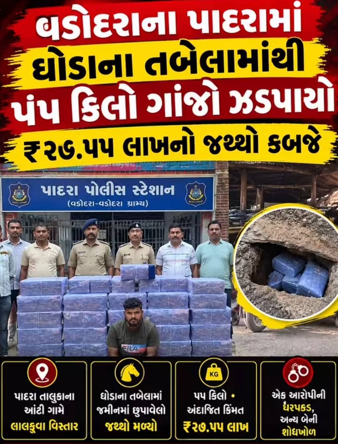 વડોદરા: પાદરાના આંટી ગામે ઘોડાના તબેલામાંથી ૫૫ કિલો ગાંજો ઝડપાયો, ૨૭.૫૫ લાખનો મુદ્દામાલ કબજે
