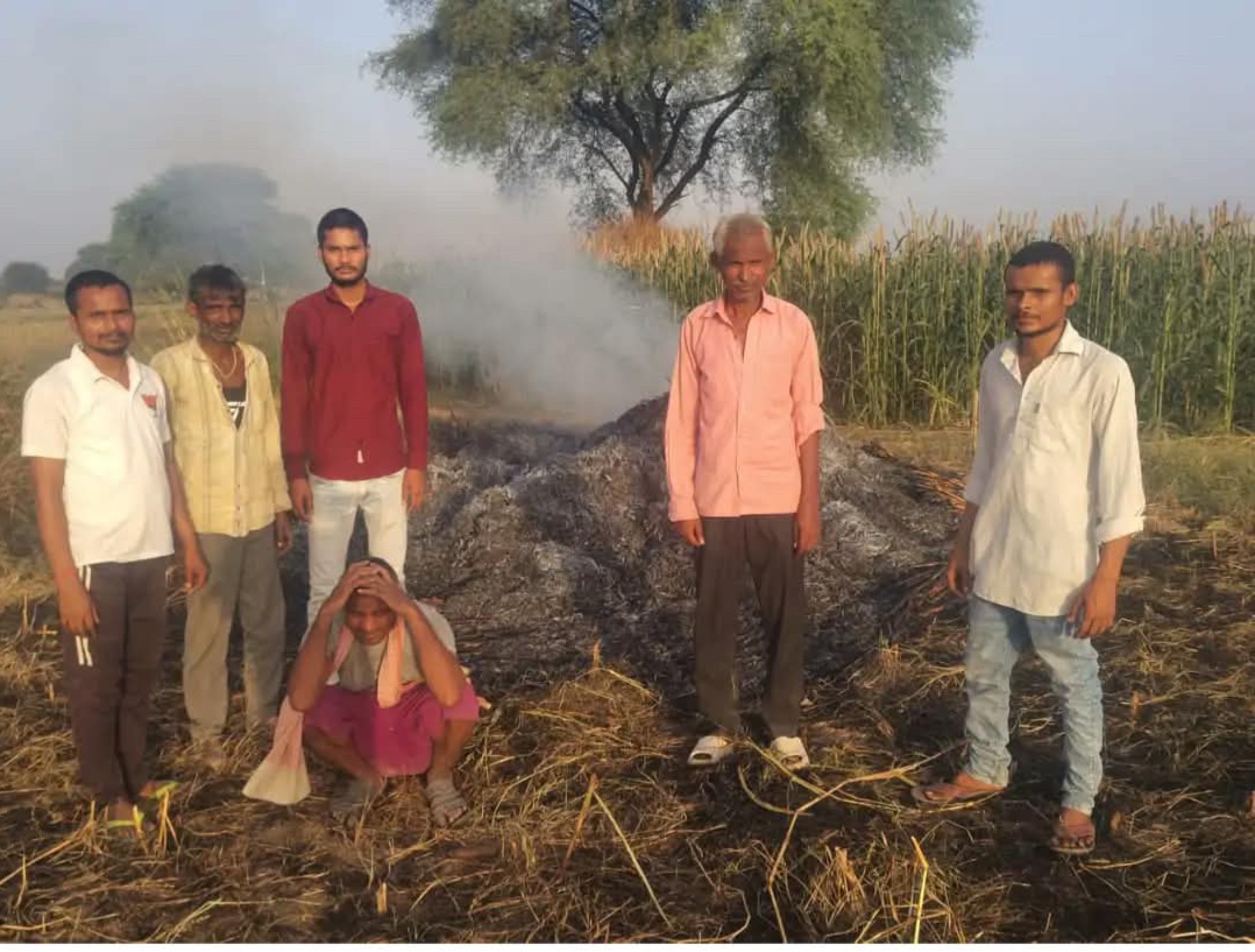 फ़तेहपुर सीकरी में बाजरे की खड़ी फसल जलकर राख, किसानों को लाखों का नुकसान